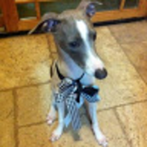 Meet your Posher, Megan - Picture 1 of 1